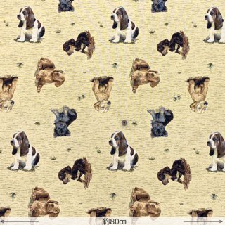 PERROS（サイズをお選びください）<img class='new_mark_img2' src='https://img.shop-pro.jp/img/new/icons56.gif' style='border:none;display:inline;margin:0px;padding:0px;width:auto;' />
