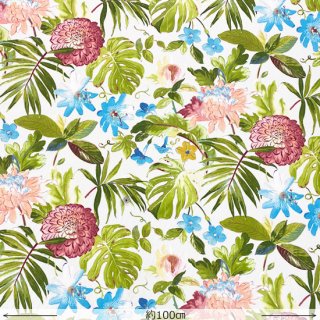 Tropicana-WHITE (50%off)<img class='new_mark_img2' src='https://img.shop-pro.jp/img/new/icons38.gif' style='border:none;display:inline;margin:0px;padding:0px;width:auto;' />