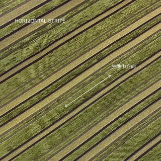 SINOPE-55(グリーン)<img class='new_mark_img2' src='https://img.shop-pro.jp/img/new/icons14.gif' style='border:none;display:inline;margin:0px;padding:0px;width:auto;' />