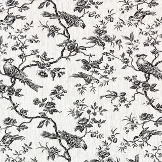 MESANGE LIN 3756-007 ͥ100% 2025ǯ<img class='new_mark_img2' src='https://img.shop-pro.jp/img/new/icons56.gif' style='border:none;display:inline;margin:0px;padding:0px;width:auto;' />