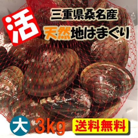 Amazon.co.jp: 天然 桑名ハマグリ 最高級 蛤 豊洲直送 1キロ（1