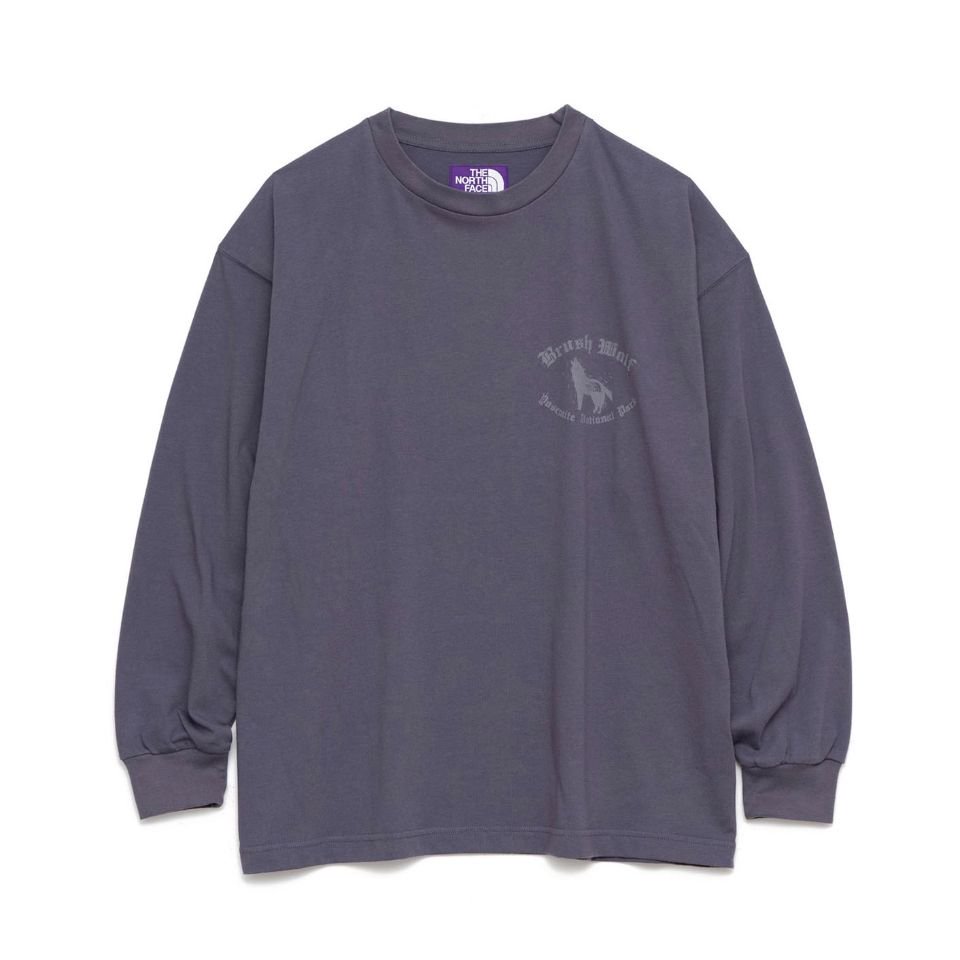 THE NORTH FACE PURPLE LABEL - L/S Graphic Tee(NT3310N)正規取扱商品 ...