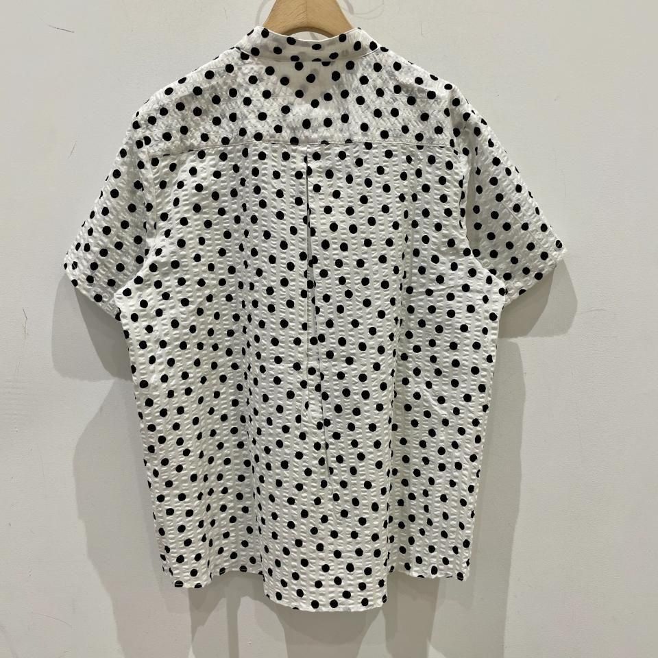 45749　PLEATSPLEASE　ドット　半袖シャツ 45749 PLEATSPLEASE ドット 半袖シャツ 楽天市場】イッセイ