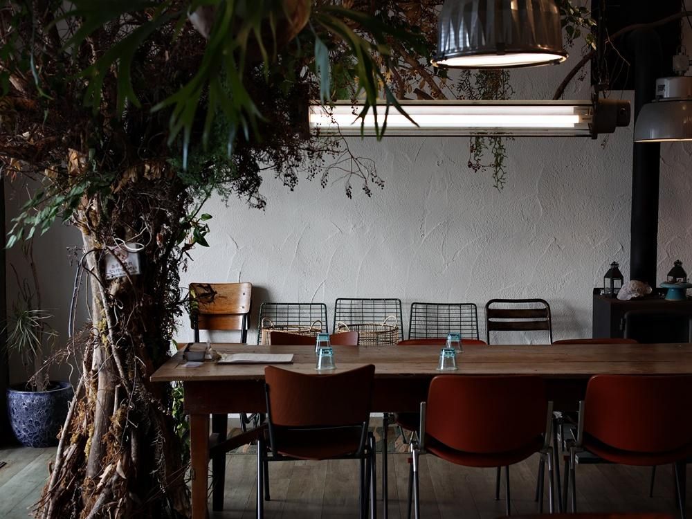 ꡼_եŹ_honu.cafe_ʡʡŻ_2024.12.20