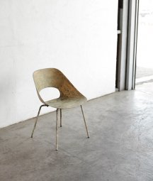 Pierre Guariche / Tulip chair