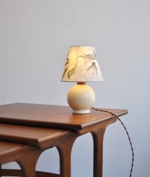 tsumikusa Hardenbergia + desk lamp