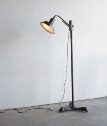 <img class='new_mark_img1' src='https://img.shop-pro.jp/img/new/icons23.gif' style='border:none;display:inline;margin:0px;padding:0px;width:auto;' />floor lamp[LY]