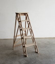 ladder[AY]