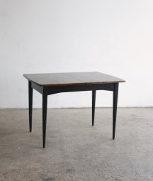extension table / wrighton[AY]