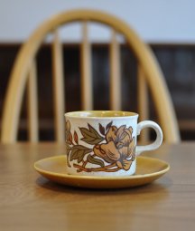 ROYAL WORCESTER PALISSY /  cup & saucer   [DY]