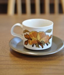 ROYAL WORCESTER PALISSY /  cup & saucer   [DY]