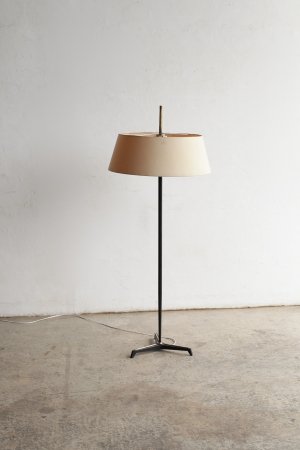 Floor lamp[DY]