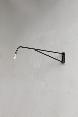 Long arm wall lamp[DY]