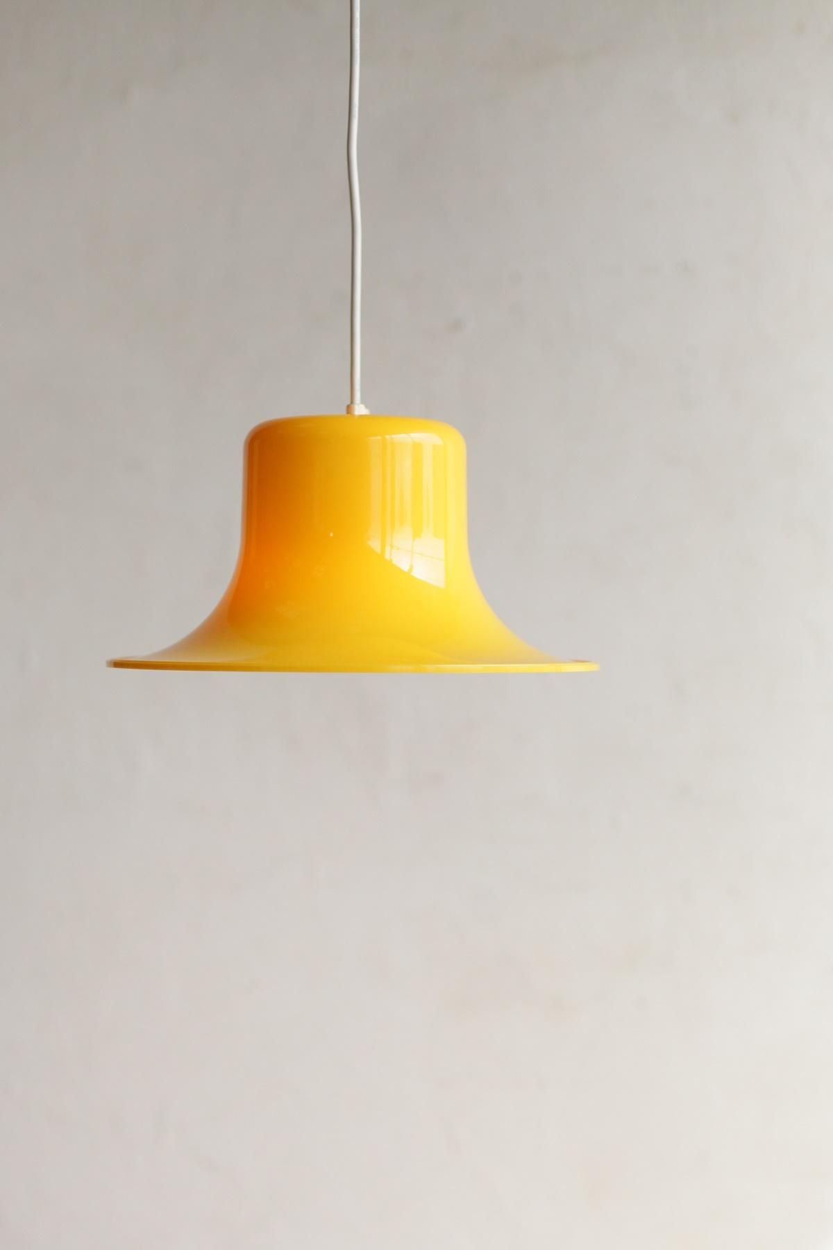 格安SALEスタート!の商品をすべて Pendant lamp - Antiques & Repair eel エッセンシャルオイル