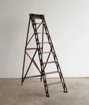  ladder