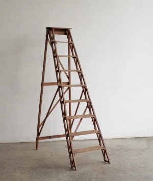  ladder