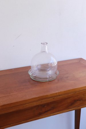 fry trap glass[AY]