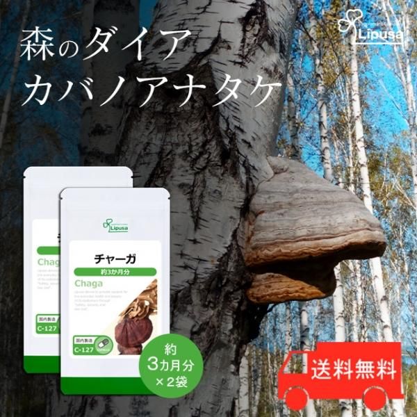 リプサ本店】 チャーガ(カバノアナタケ) 約3か月分×2袋 C-127-2