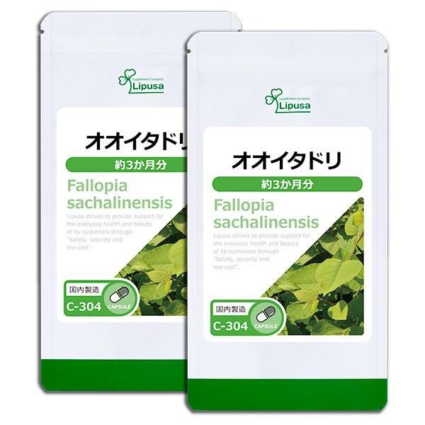 ɥ 3ʬ2 C-304-2  22.5g(250mg90ץ)2ޡΤҥ롪åȾ30OFF6/16 9:59ޤǡ