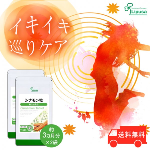 健康食品【10袋】シナモン粒★リプサ