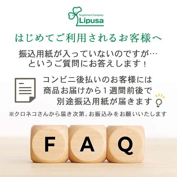 セール 登場から人気沸騰 リプサ本店】 ガルシニア＋ブラックジンジャー粒 約1か月分×3袋 サプリメント・ビタミン