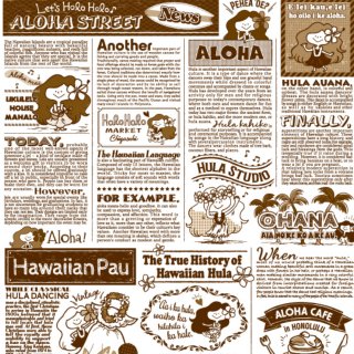 KAPUA's Hawaiian News!