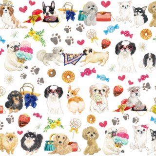 <img class='new_mark_img1' src='https://img.shop-pro.jp/img/new/icons53.gif' style='border:none;display:inline;margin:0px;padding:0px;width:auto;' />fashionable dogs