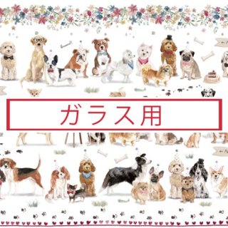 <img class='new_mark_img1' src='https://img.shop-pro.jp/img/new/icons1.gif' style='border:none;display:inline;margin:0px;padding:0px;width:auto;' />饹ѡsweet dogs