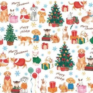 <img class='new_mark_img1' src='https://img.shop-pro.jp/img/new/icons1.gif' style='border:none;display:inline;margin:0px;padding:0px;width:auto;' />ưʪ�����Υ��ꥹ�ޥ�