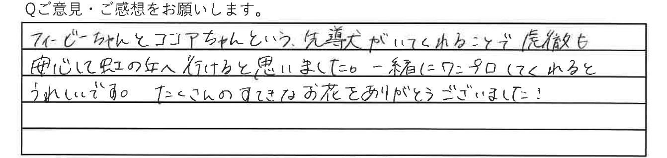 ε֤Ѽԥ󥱡ȡ2025.07.31衡N.A