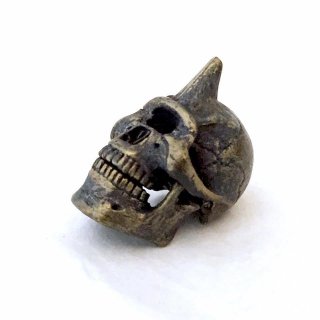 Cyclops Skull Specimen