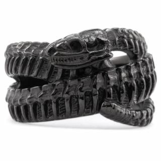The Guardian Ring S Black