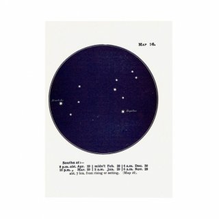 アンティークプリント　天文学・星座(しし座MAP16)　0004