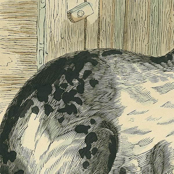 動物図鑑 うさぎ スウェーデン 009(アンティークプリント