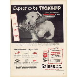 アメリカのヴィンテージ広告〜Gaines DOG FOOD〜 017
