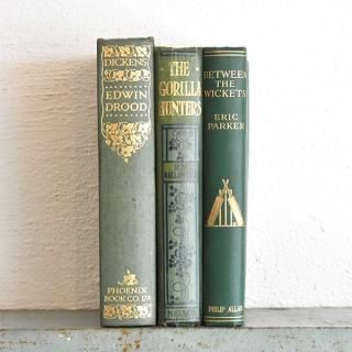 Vintage Book【赤と青と緑の洋書】3冊 アンティーク 古書 洋書