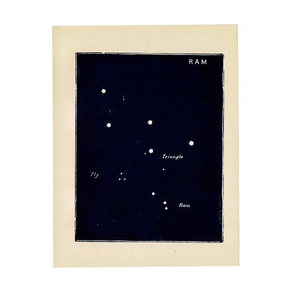 天文学】星座RAM（牡羊座）アンティークプリント 0048