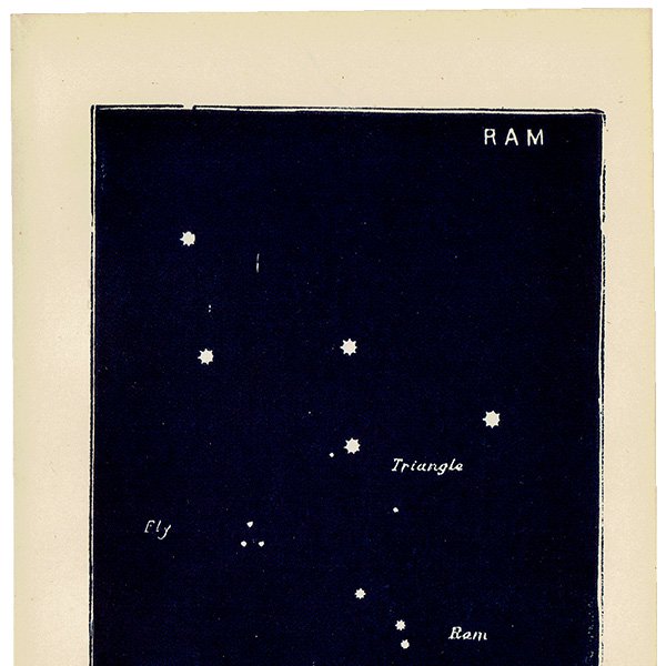 【天文学】星座RAM（牡羊座）アンティークプリント 0048