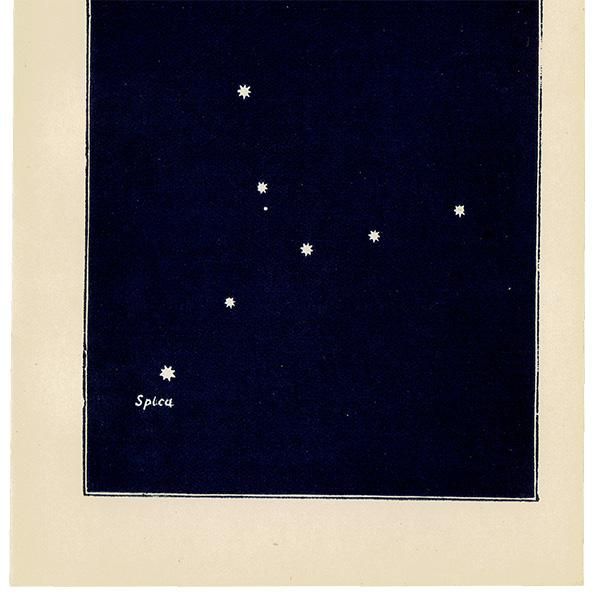 ŷʸءVIRGINʤȤ¡ԥ˥ƥץ 0049