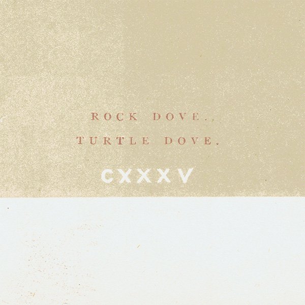 Сɥå ƥץ ȷϥȡROCK DOVE/TURTLE DOVEˤ 0026