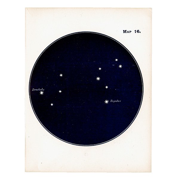 【天文学】星座アンティークプリント（しし座/デネボラ・レグルス MAP16） 0056