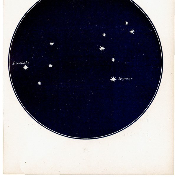 【天文学】星座アンティークプリント（しし座/デネボラ・レグルス MAP16） 0056