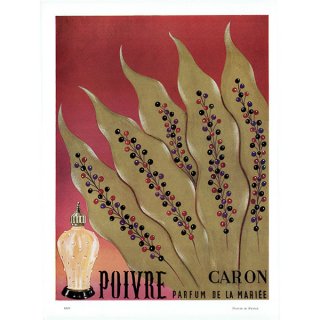 フランス ヴィンテージ広告 / CARON 香水 1955年 0294