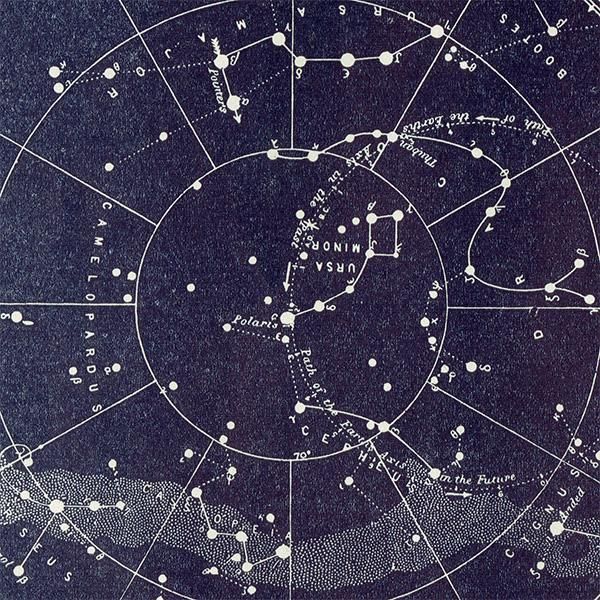 天文学】星座・天の川 半球の天体アンティークプリント 0059 天文学】星座・天の川 半球の天体アンティークプリント 0059