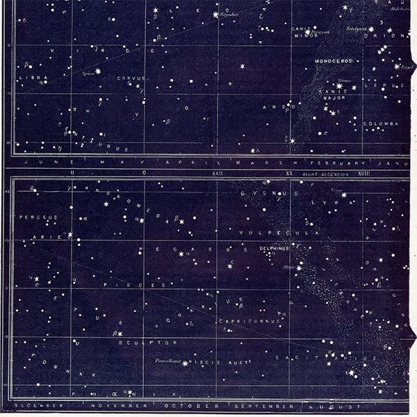 天文学】星座・天の川 半球の天体アンティークプリント 0059 天文学】星座・天の川 半球の天体アンティークプリント 0059