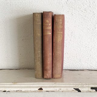 撮影小物やインテリアにおすすめの古い洋書・アンティークブック 