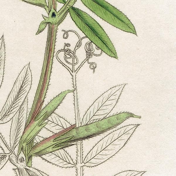 絵画 芳光作 鶴 銅板彫刻額絵 アンティーク 昭和レトロ｜Yahoo