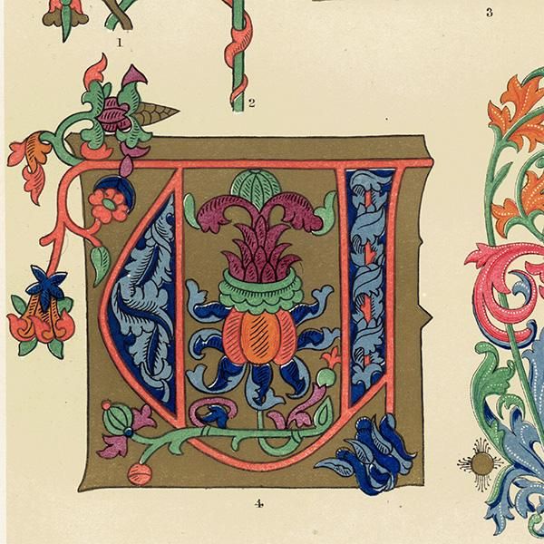 装飾写本 / アルファベット イギリス アンティーク 版画 装飾写本 / アルファベット イギリス アンティーク 版画