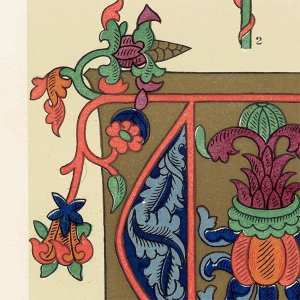 装飾写本 / アルファベット イギリス アンティーク 版画 装飾写本 / アルファベット イギリス アンティーク 版画