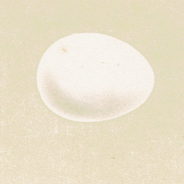 イギリス アンティークプリント バードエッグ（鳥の卵）WOODPECKER / キツツキ の卵 088